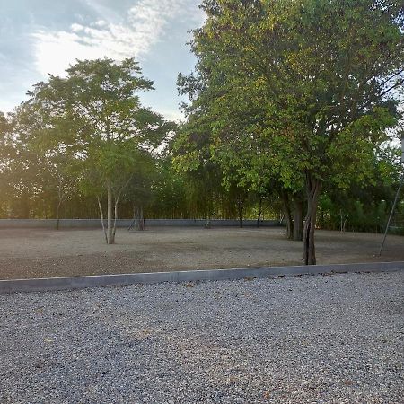 Il Giglio B&B Asola Exteriér fotografie